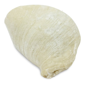 Large Sfogliatelle